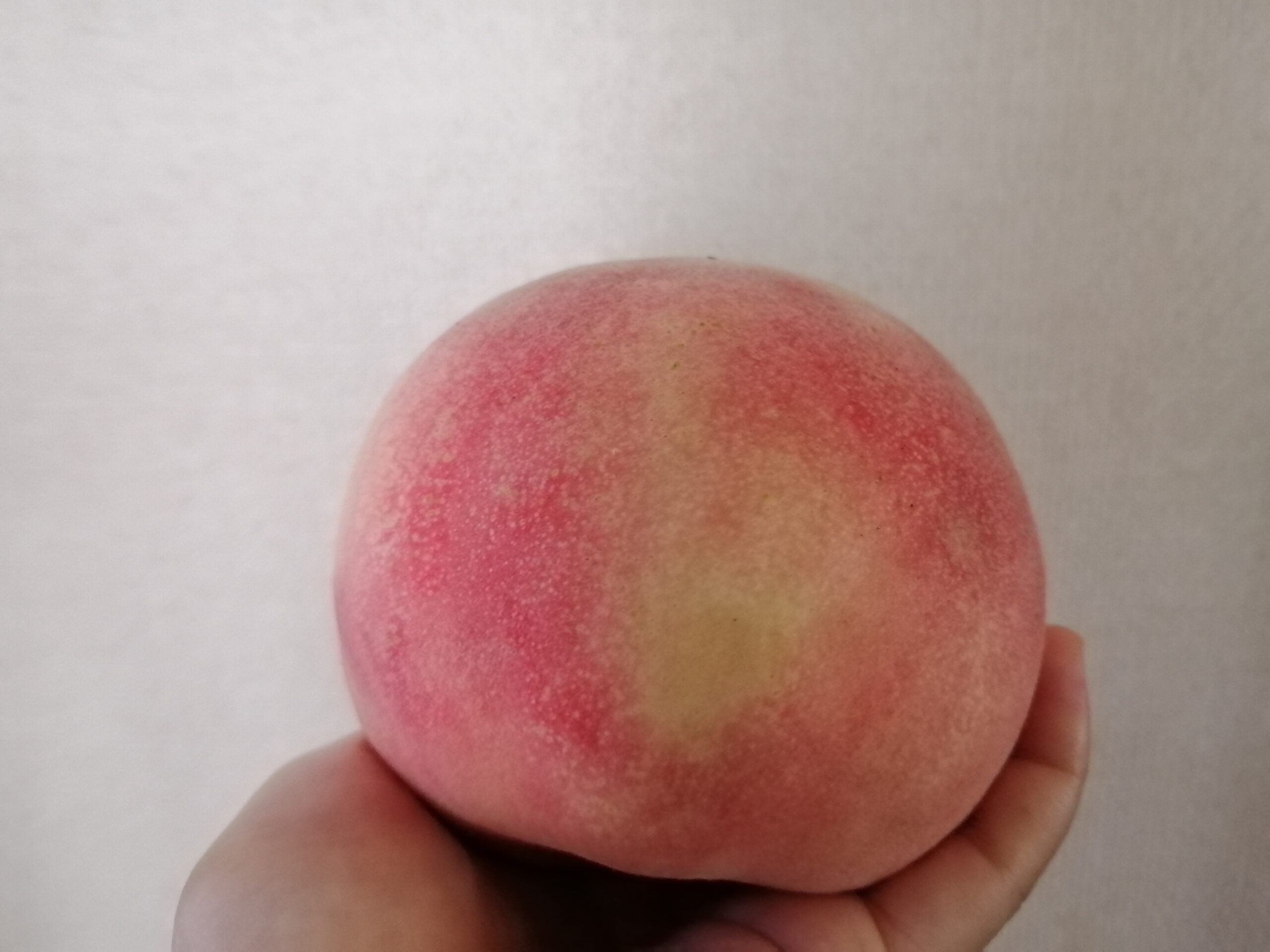 変色した桃を食べて思う 果物は家族揃って食べた方がいろんな意味でおいしい ブログ好きな主婦のブログ