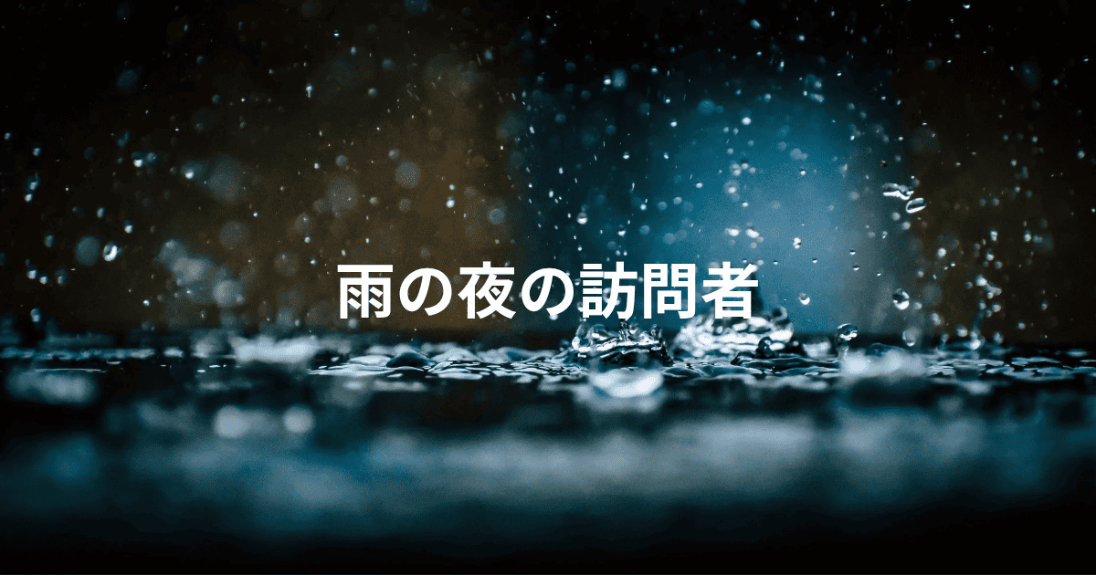 雨の夜の訪問者