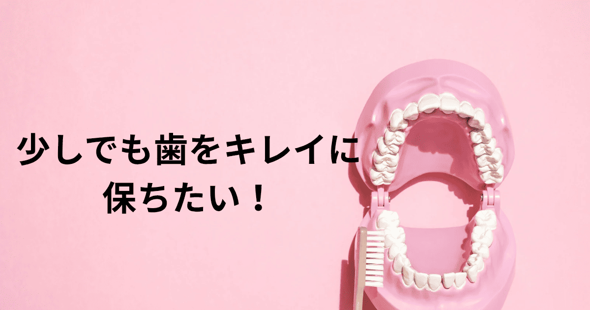 歯をキレイに保ちたい