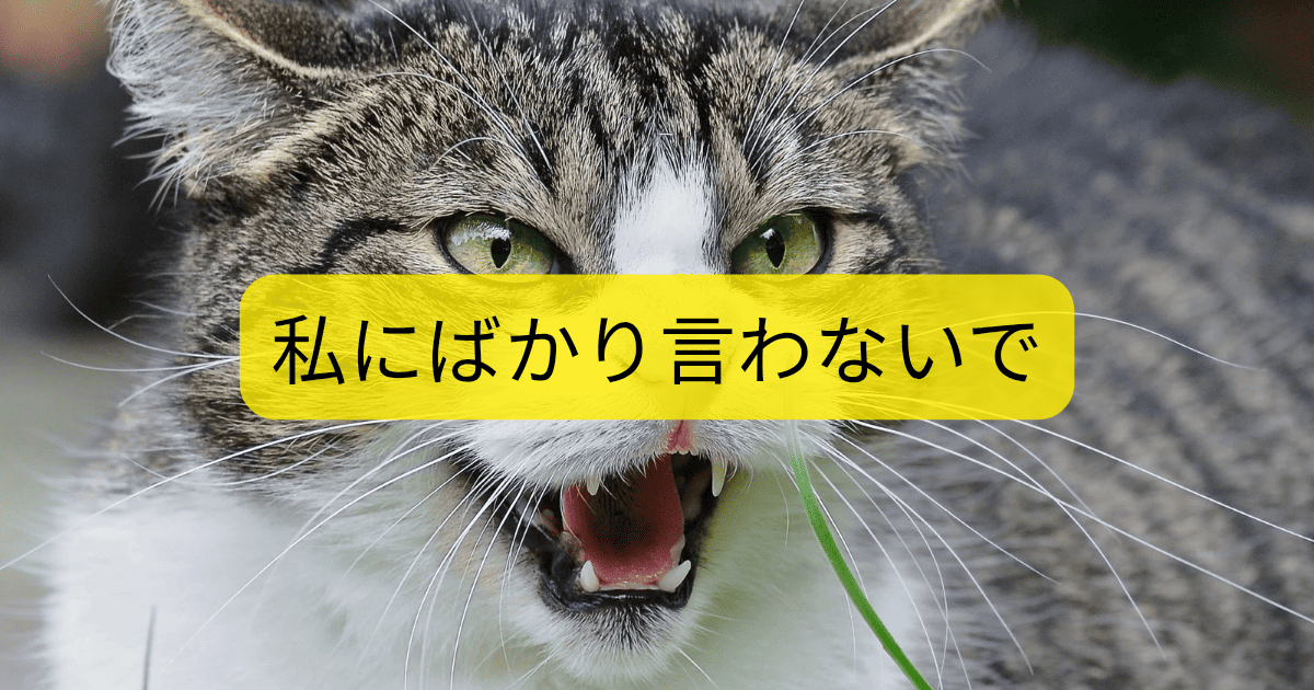 私にばかり言わないで
