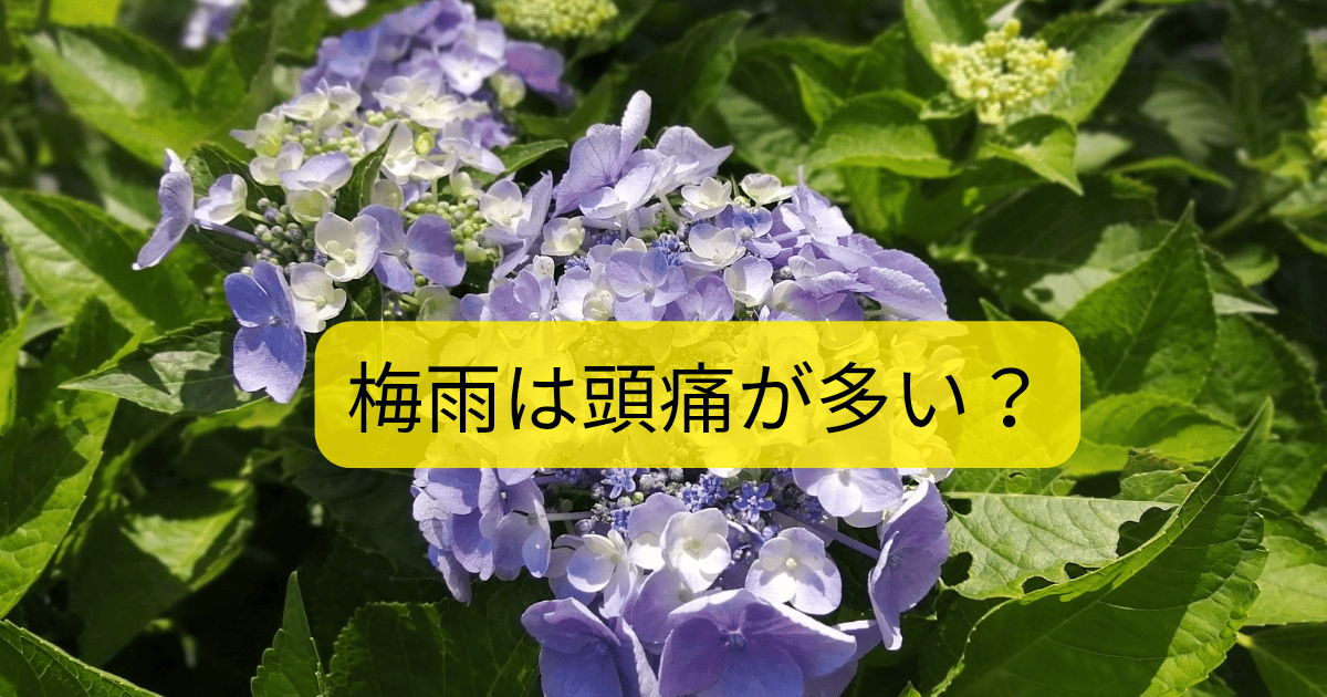 梅雨は頭痛が多い
