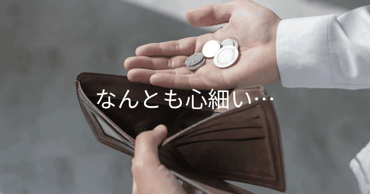 なんとも心細い