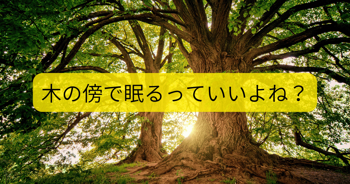 木の傍ら