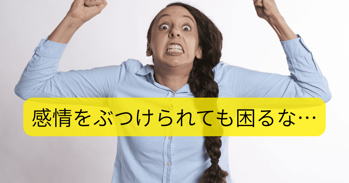 感情をぶつけられても困るな