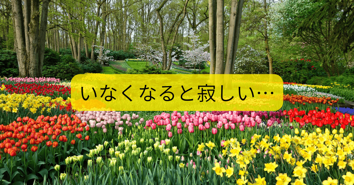 いなくなると寂しい