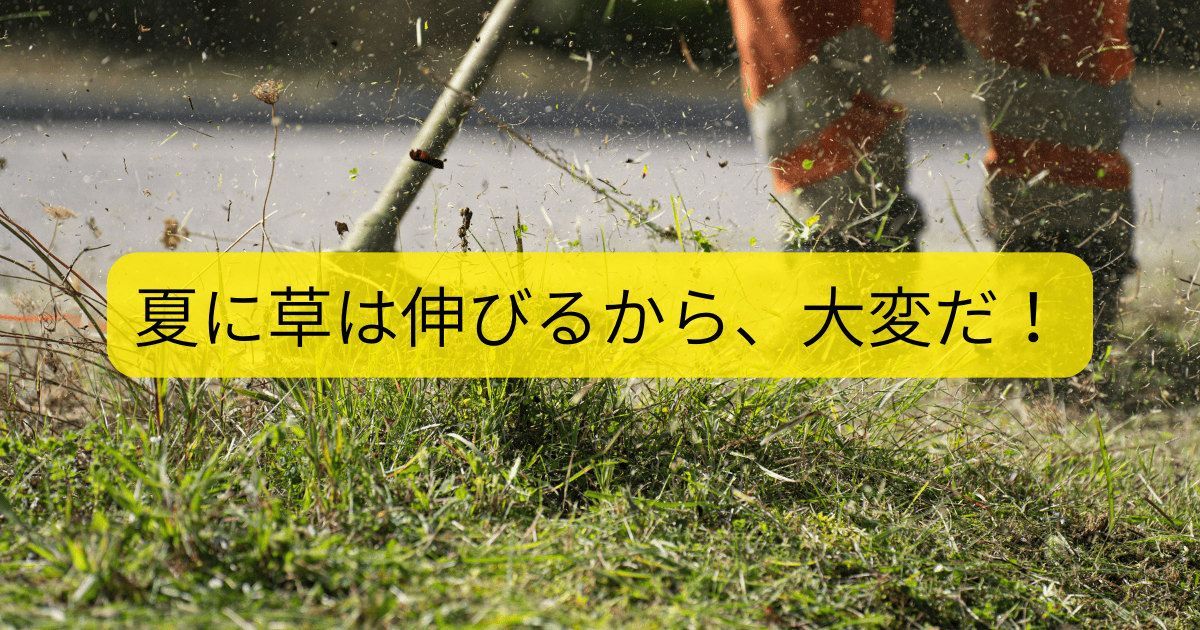 夏に草は伸びる