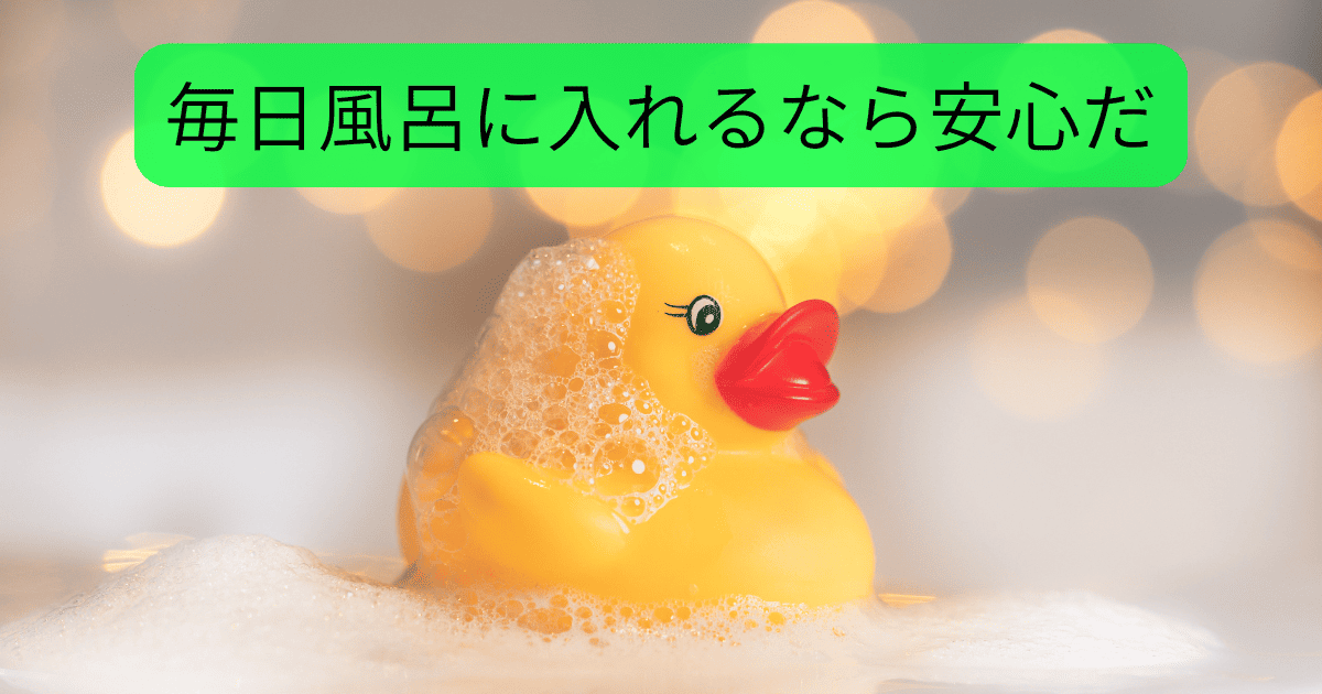 毎日風呂に入れるなら安心だ